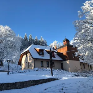 🌲 Rychlá pětka: Dobijte si baterky na Šumavě!