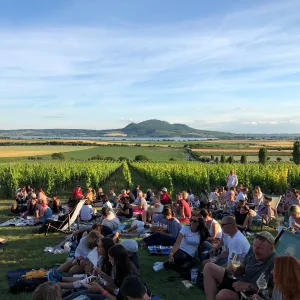 Hudba na vinicích 2026: Rekordní počet koncertů a dvě nové lokace