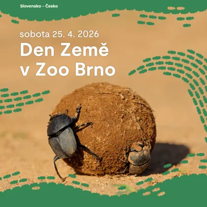 Víkend v Brně a na jihu Moravy ve znamení Dne Země a dobrých činů