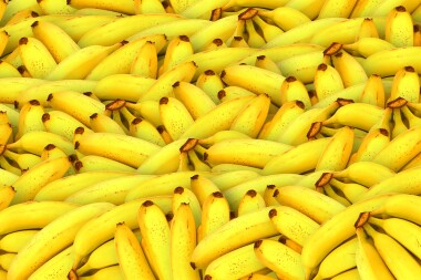 V dodávce banánů pro Albert byl KOKAIN za dvě miliardy