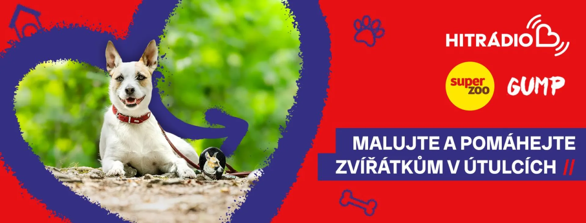 Připojte se ke kamínkové výzvě se Super zoo a pomozte opuštěným mazlíčkům