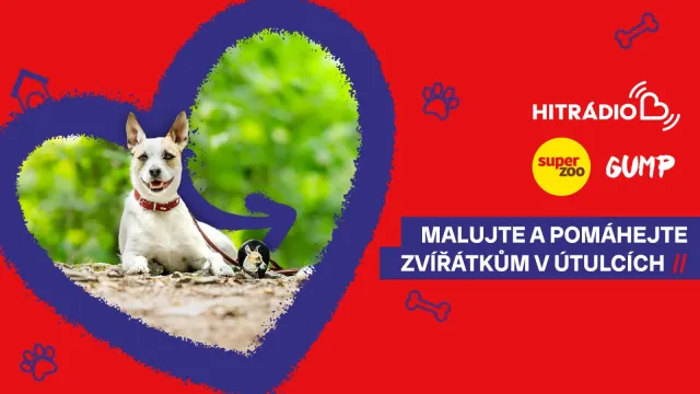 Připojte se ke kamínkové výzvě se Super zoo a pomozte opuštěným mazlíčkům